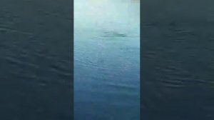 Рыбалка в Уфе шакше