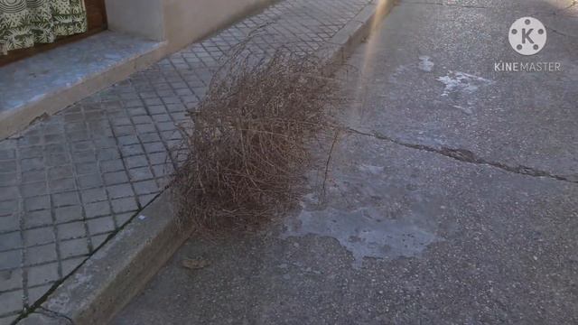 КАТОЛИЧЕСКОЕ РОЖДЕСТВО.❤ ЭКСКУРСИЯ ПО НАШЕЙ ИСПАНСКОЙ ДЕРЕВНЕ.