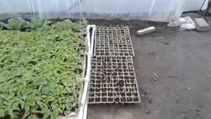 Отопление в парнике ( теплице)