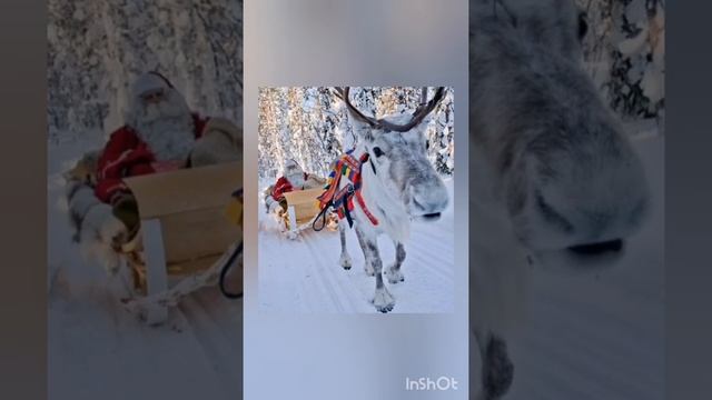 Зимушка зима