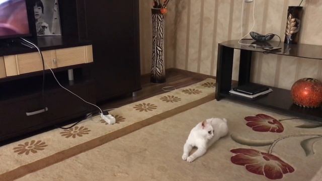 О монетизации, распаковка посылки мери кей смотреть онлайн