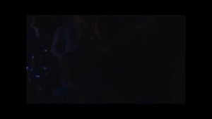 СКВОРЦЫ СТЕПАНОВА / Котэ