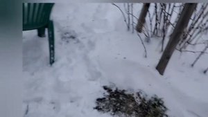 палатка уп2 и мфп4