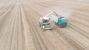 Кормоуборочный комбайн Krone BiG X в работе по соломе