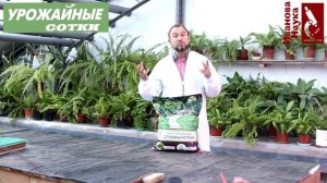 Посадка хвойных с 100% приживаемостью. Опасна ли триходерма для микоризы?