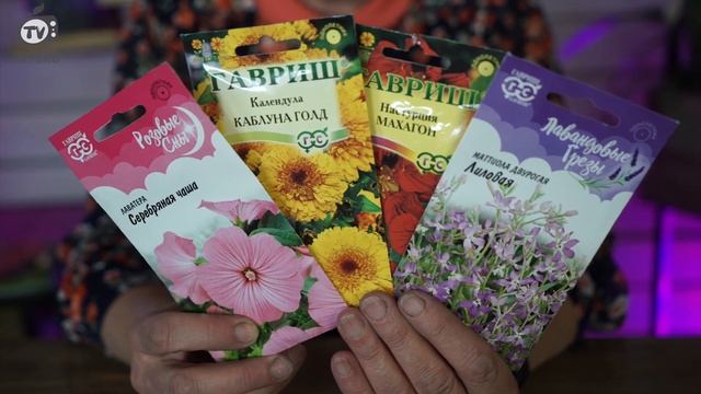 Лучшие Однолетние Цветы Которые Можно Посадить Под Зиму ✔️ Сажаем Цветы Под Зиму
