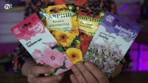 Лучшие Однолетние Цветы Которые Можно Посадить Под Зиму ✔️ Сажаем Цветы Под Зиму