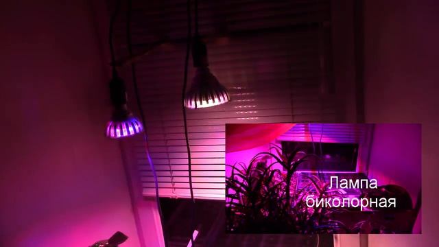 Фитолампы. Какую фитолампу выбрать? смотреть онлайн