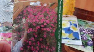 КУПИЛА СЕМЕНА ПЕТУНИИ К НОВОМУ СЕЗОНУ!