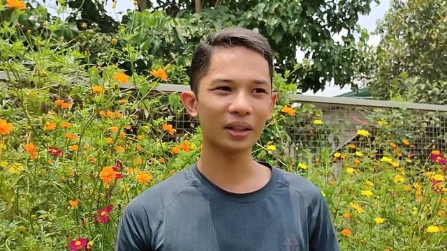 5- Flowering plants perfect for your Garden  🌺🌿 смотреть онлайн