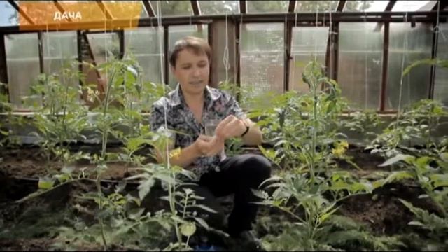 ПАРТЕНОКАРПИН БИО