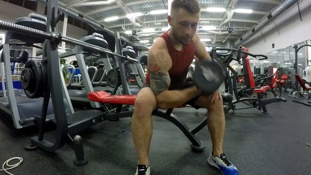 Концентрированное сгибание рук с гантелью смотреть онлайн