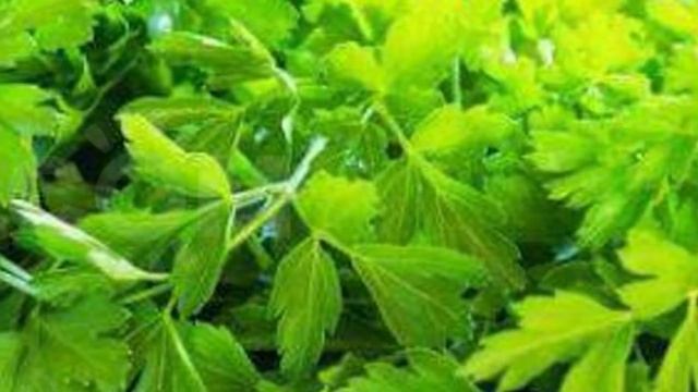 Избавьтесь от Морщин возле Глаз! Домашний крем от "гусиных лапок"... смотреть онлайн