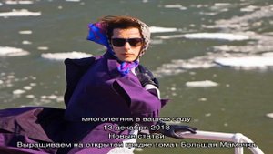 Размножение калины отводком: легкий путь успеха