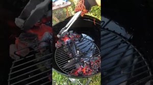 Первый раз готовлю на гриле Weber. Курица с сванской соли.