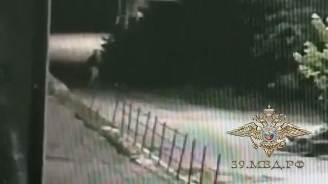 Суеверный житель Мамоново за ночь сжёг 33 мусорных контейнера смотреть онлайн