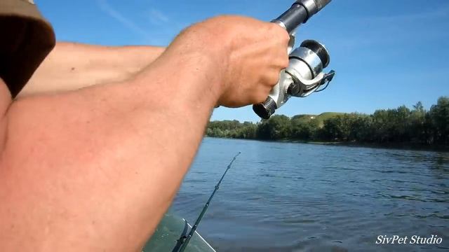 Река Дон Вечерняя рыбалка 10 июня 2020 смотреть онлайн