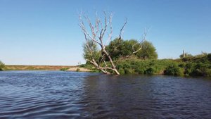 Сплав по реке Клязьма / [ 4k 60fps ] / Rafting down the Klyazma River