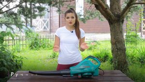 Как выбрать садовый пылесос | Обзор от онлайн-гипермаркета 21 век