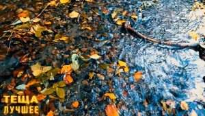 ТЕЩА- Научила как Надо. Интересные истории про тещу. Смешной случай с тещей. Аудио рассказы про тещ