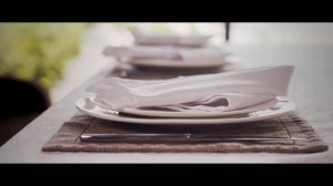 Промо ролик ресторана SOVA