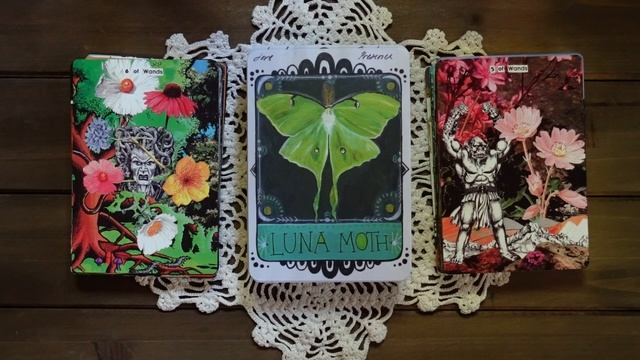 Deck Speed Dating Round 3 | Tarot Edition! смотреть онлайн