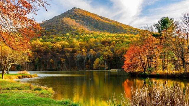 Истории из жизни Мы женщины должны терпеть  Жизненные истории  Аудио рассказы