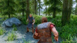 Skyrim ٠ Реакция Имперца на Брата Бури