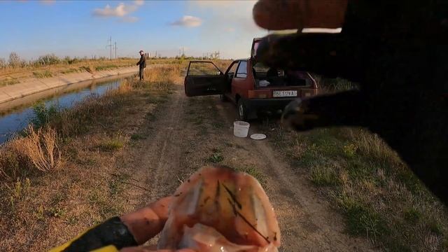 Осень, ловим щуку, на блесну, холодная осень, ищем щуку смотреть онлайн