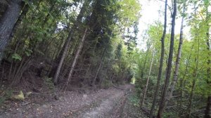 Охота на Рябчика Осенью. Охота с манками. Вальдшнеп Осенью.