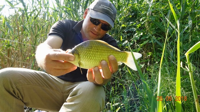 КАРАСЬ В МАЕ.2. смотреть онлайн