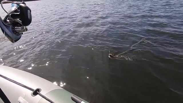 Какой воблер лучше. Глубоководные кренки на окуня смотреть онлайн