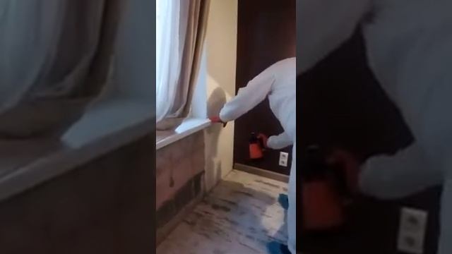 уничтожение плесени в квартире смотреть онлайн