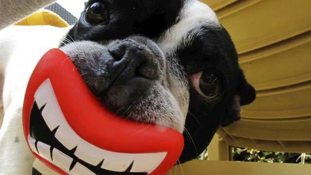 Музыка нового времени. Лучшая серьезная музыка. Ниче...