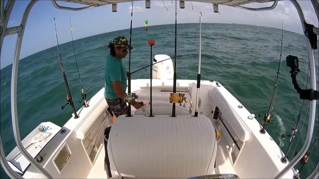 HOW TO CATCH GRUNT FOR LIVE BAIT смотреть онлайн