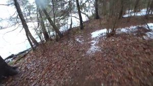 Рыбалка на реке Молокча. Зима и лед а я со спиннингом выживаю в лесу во Владимирской области