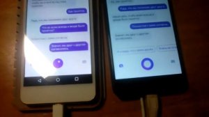 Две Алисы разговаривают между собой