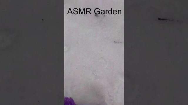 асмр звуки для сна #Shorts
