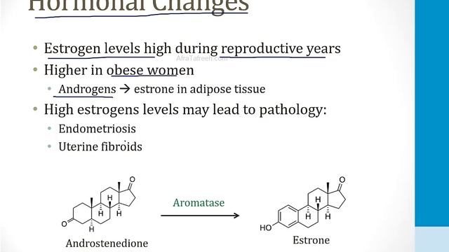 Эндокринология USMLE - 4. Репродуктивная - 3.Женские репродуктивные гормоны