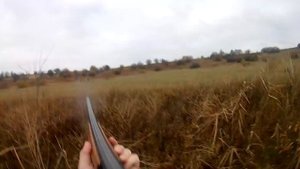 Отстрел дроби 0000 на 80м