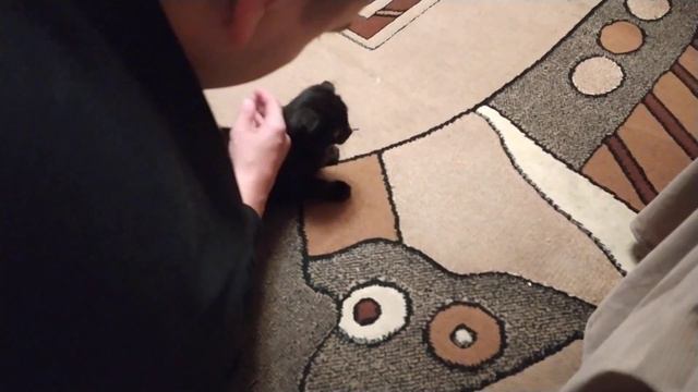 У бабушки в деревне. Нарцис и Гоша. смотреть онлайн