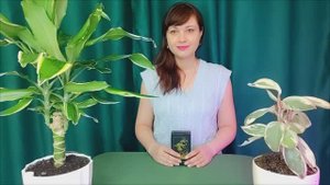 НА ЧТО ОН РЕШИЛСЯ⚡МУЖЧИНА ИЗ ПРОШЛОГО НА ПОРОГЕ💞расклад таро на отношения💫совет ВС