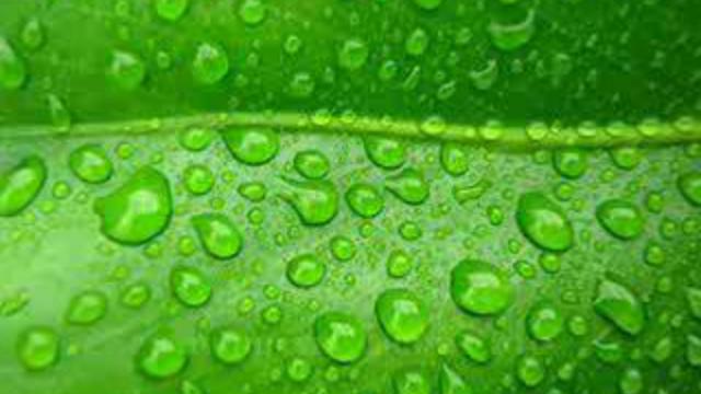 Шаг к Богу........ смотреть онлайн