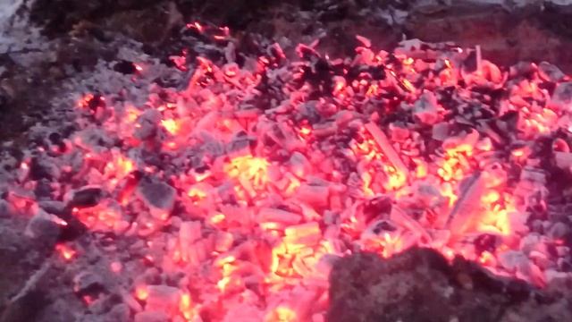 Догорающие угли от декабрьского костра разведенного в лесу смотреть онлайн