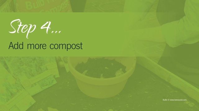 How to create a Daffodil & Scilla Siberica Bulb Planter - Haskins how to #6 смотреть онлайн