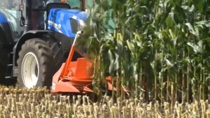 Широкозахватный комбайн для сбора кукурузы