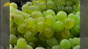 Ретро Дербент - 1995 год, публикуется впервые!