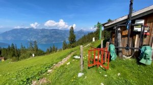 Klewenalp has the most breathtaking Lake Lucerne views ?? Switzerland 4K