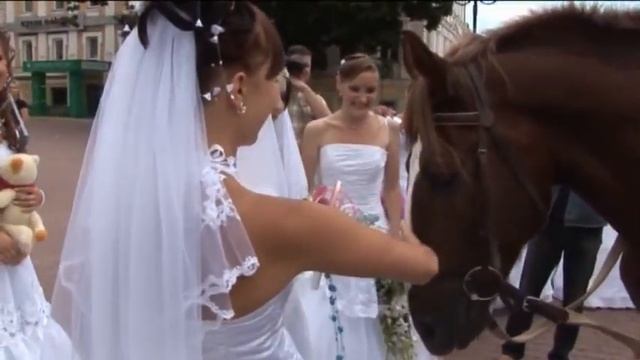 ParadNevest2008 смотреть онлайн