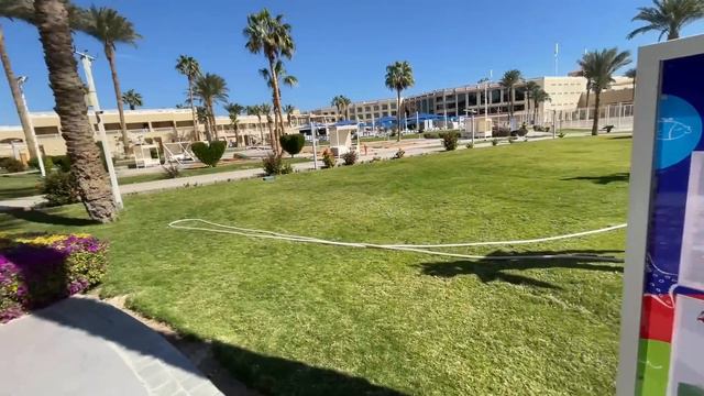 ЕГИПЕТ ЗА 110$ Отдых в Beach Albatros Resort смотреть онлайн
